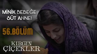 Kırgın Çiçekler 56Bölüm  Minik Bebeğe Süt Anne [upl. by Alvord]