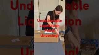 Undeliverable Pallet 8 Unboxing 6 [upl. by Ahsuatan467]