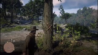 Elysian Pool Gold Bar Treasure  Red Dead Redemption 2 [upl. by Enileuqkcaj]