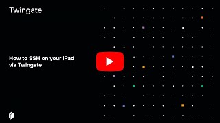 How to SSH on your iPad via Twingate [upl. by Einwat329]