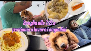 Sveglia alle 721 e i cagnolini a lavare 😍 [upl. by Ammadis]