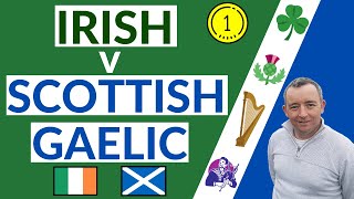 I Compare Irish amp Scottish Gaelic [upl. by Ostler974]