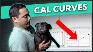 How to Create a Calibration Curve  Shimadzu Lab Solutions [upl. by Akilaz103]