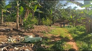 Finca Que Produce Bien En Venta 20242105 Real Estate For Sale [upl. by Seyler48]