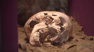 Archéologie  découverte exceptionnelle dune une grotte à La RochefoucauldenAngoumois en Charente [upl. by Cuttie494]