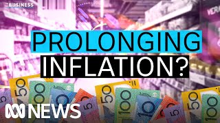 Why the government subsidies are making it harder for the RBA to lower inflation  The Business [upl. by Asilam]