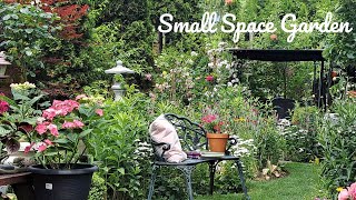 How I Grow Plants In A Small Space  Perennial Flower Tour [upl. by Jack327]