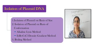 Plasmid DNA Isolation MethodsAlkaline lysis EtBrCsCl density gradient Isolation on basis of Size [upl. by Ixel330]