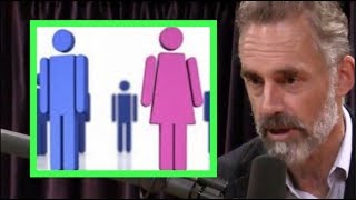 Jordan Peterson Explains the Gender Paradox  Joe Rogan [upl. by Edals42]