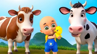 Old MacDonald Had A Farm New Compilation  Bingo Song  Nursery Rhymes and Kids Songs  Baby Bobo [upl. by Aicala]