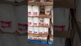 Milk Prices in Whole Sale Shop Costco USA shorts milk trending shortsfeed viralshorts usa [upl. by Kresic]