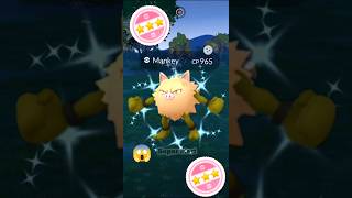 Finally I Got Shundo ✨Shiny Primeape in pokemon go pokemon soparstart shiny shundo [upl. by Anihpesoj621]