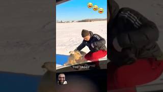 Funny Fails Compilation 😂😂😂 Best Fails Of The Year 2024 shorts [upl. by Ymorej]