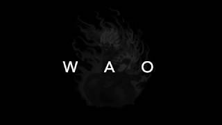 WAO  2019 [upl. by Schell]