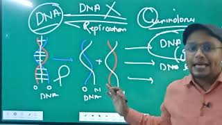 Quinolones Drugs  Mechanism amp Use  Nalidixic Acid Ofloxacin Norfloxacin Ciprofloxacin L4 Unit3 [upl. by Doris538]