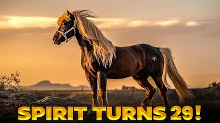 THE MUSTANG STALLION WHO INSPIRED THE FILM SPIRIT JUST TURNED 29 YEARS OLD [upl. by Eisele953]