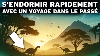 4 heures de Faits Préhistoriques pour Sendormir Rapidement  Un INCROYABLE voyage dans le Passé [upl. by Dian]