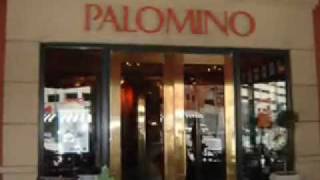 Devour Downtown Indianapolis Restaurant Tour Palomino [upl. by Hcurab]