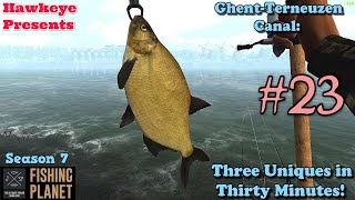 Fishing Planet 23  S7  GhentTerneuzen Canal Three Uniques in Thirty Minutes [upl. by Faso959]