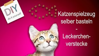 Fummelbrett für Katzen selber bauen  Do it yourself Katzenspielzeug [upl. by Neiht]