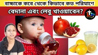 How to Introduce Pomegranate and Lemon To Our Babies  how to Introduce fruit for baby in Bengali [upl. by Antin]