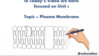 Plasma Membrane  Fluorescence Recovery After Photobleaching FRAP 💡 [upl. by Welton]