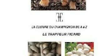 Culture du mycelium  pensez à la récupération  le trappeur picard [upl. by Remmer]