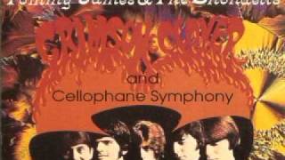 Tommy James amp The Shondells  Crimson amp Clover [upl. by Eitsud]