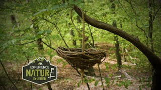 Bushcraft Korb flechten in 25 Minuten  Ganz schnell eine Körbchen selber basteln  DIY im Wald [upl. by Cece]