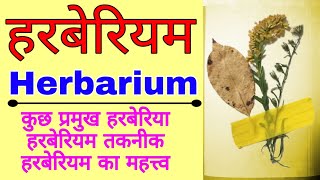 हरबेरीयम  All about Herbarium  How to make a simple Herbarium File  Role of herbarium in botany [upl. by Hemingway472]