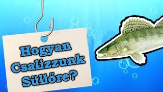 Hogyan Csalizzunk Süllőre [upl. by Donall513]