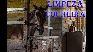 Dicas para Limpeza de Cocheiras [upl. by Harlen]