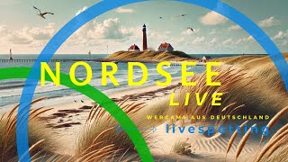 Die besten Webcams an der Nordsee Live entlang der Küste von Borkum bis Sylt [upl. by Eesdnyl]