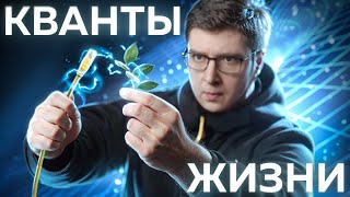 Невидимая связь всего живого  Безумные научные идеи 5 [upl. by Dino]