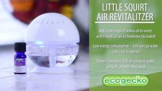 EcoGecko Little Squirt Air Cleaner amp Revitalizer [upl. by Ashbey]