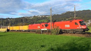 Schwarzach Vorarlberg🐄🐄 185 591 Railjet Güterzüge RH4748 ÖBB Cityjet VMOBIL amp Rindviecher [upl. by Delanie303]