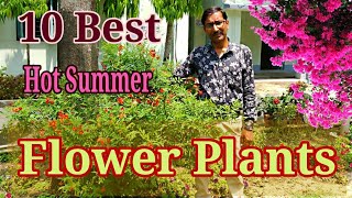 10 Best Permanent Heat Tolerant Flowering Plants For Full Sun [upl. by Tniassuot]