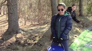 Maple Tree Tapping [upl. by Wilde]