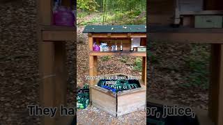 Drinks station at Forest 😱 germanvillagelifeshortscultureshockyoutubeshortskannadavlogs [upl. by Xyno846]