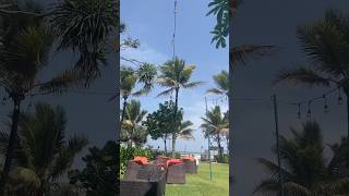 Centara Ceysands Resort amp Spa Sri Lanka  Mini Vlog Epi01 minivlog foryou travel shorts [upl. by Giess42]