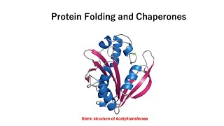 Protein Folding and Chaperones [upl. by Lussier]