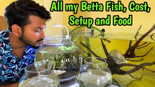 All my Betta Fish Cost Setup and Food ❤️💙  How to care betta fish  Full Moon Betta  Betta Fish [upl. by Araes]