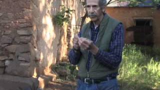 Intro to Dendrochronology  Thomas C Windes [upl. by Chrissie]