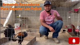 ARMANDO RASCADEROS PARA SEPARAR POLLOS  Le Dimos una organizada a los gallos [upl. by Rehpotsihrc]