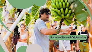 Discover the secrets of the BananaEcoPlantation  Puerto De La Cruz [upl. by Leotie]