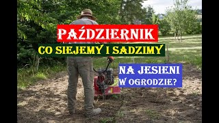 PAŹDZIERNIK  CO SIEJEMY I SADZIMY NA JESIENI W OGRODZIE [upl. by Airdnas400]