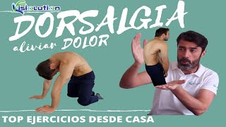 DORSALGIAS  DOLOR de ESPALDA SOLUCIÓN en CASA Ejercicios y Recomendaciones  Fisiolution [upl. by Swinton]