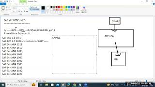 sapbasishana Understanding SAP Versions [upl. by Ulane]