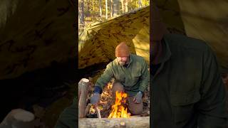 Campfire for the tarp shelter solowildcamping wildcamping camping solocamping outdoorcamping [upl. by Bundy]