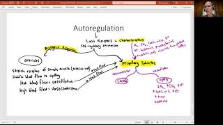 Biology 2020 Chapter 20 The Cardiovascular System Autoregulation Video 16 [upl. by Einot]